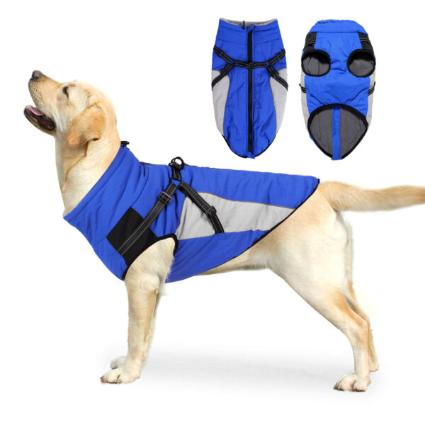 Blue Dog Cotton Jacket For Winter Vd75 (1)