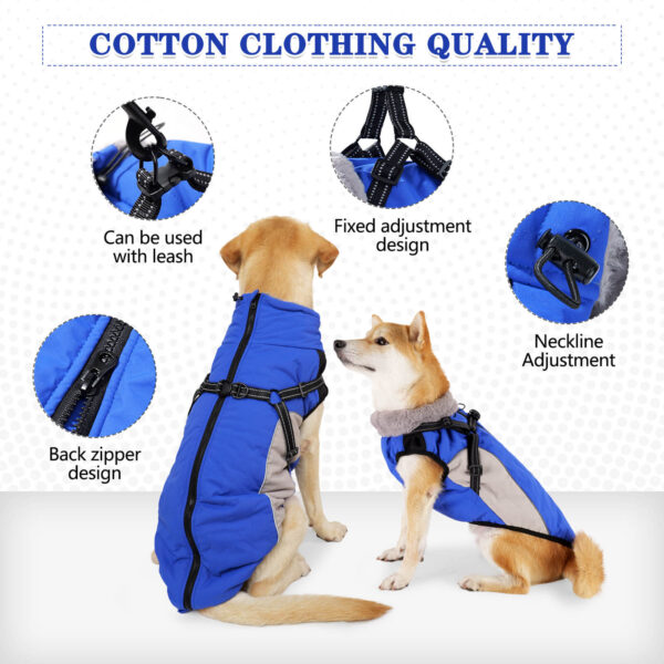 Blue Dog Cotton Jacket For Winter Vd75 (2)