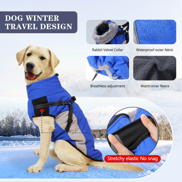 Blue Dog Cotton Jacket For Winter Vd75 (3)