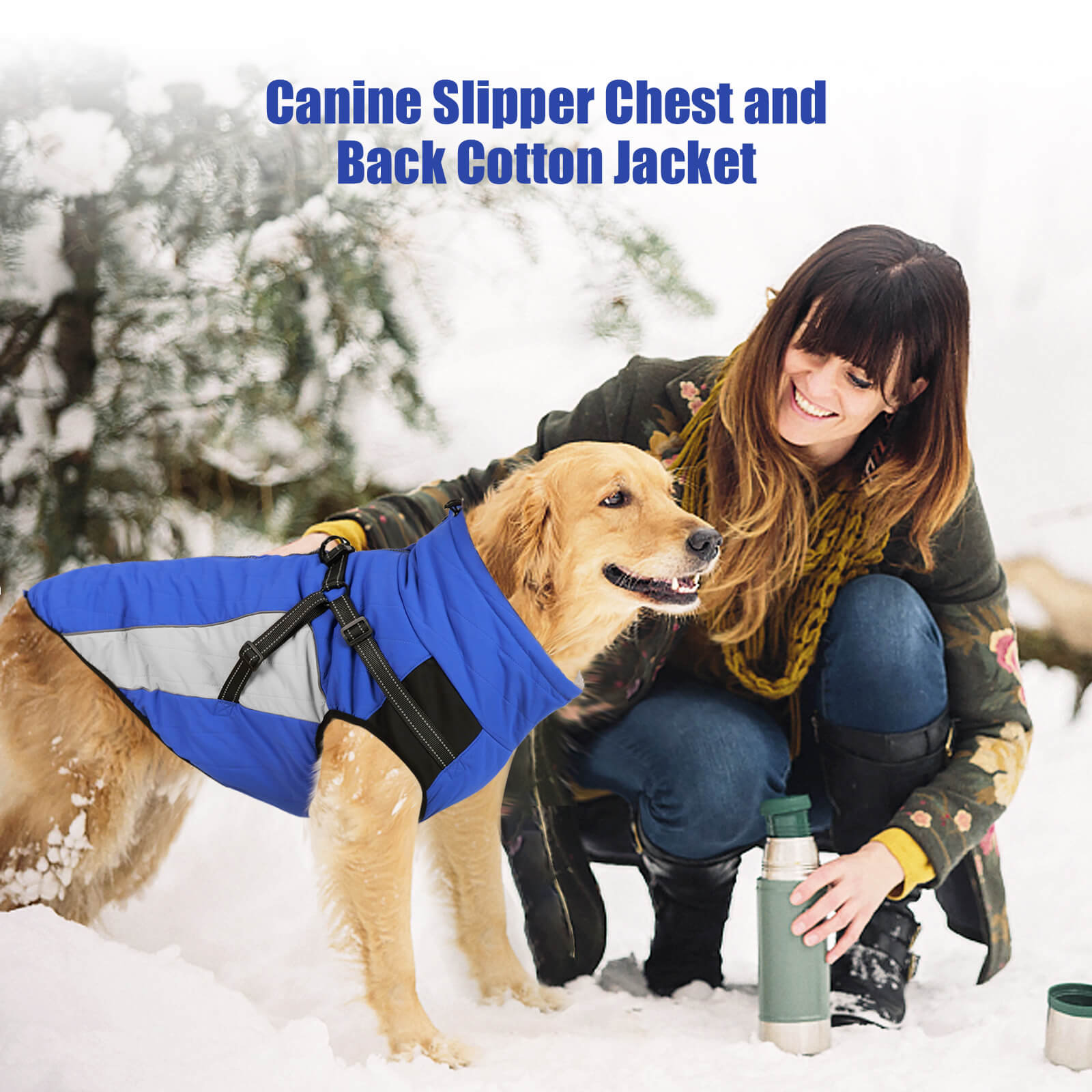 Blue Dog Cotton Jacket For Winter Vd75 (5)