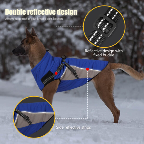 Blue Dog Cotton Jacket For Winter Vd75 (6)