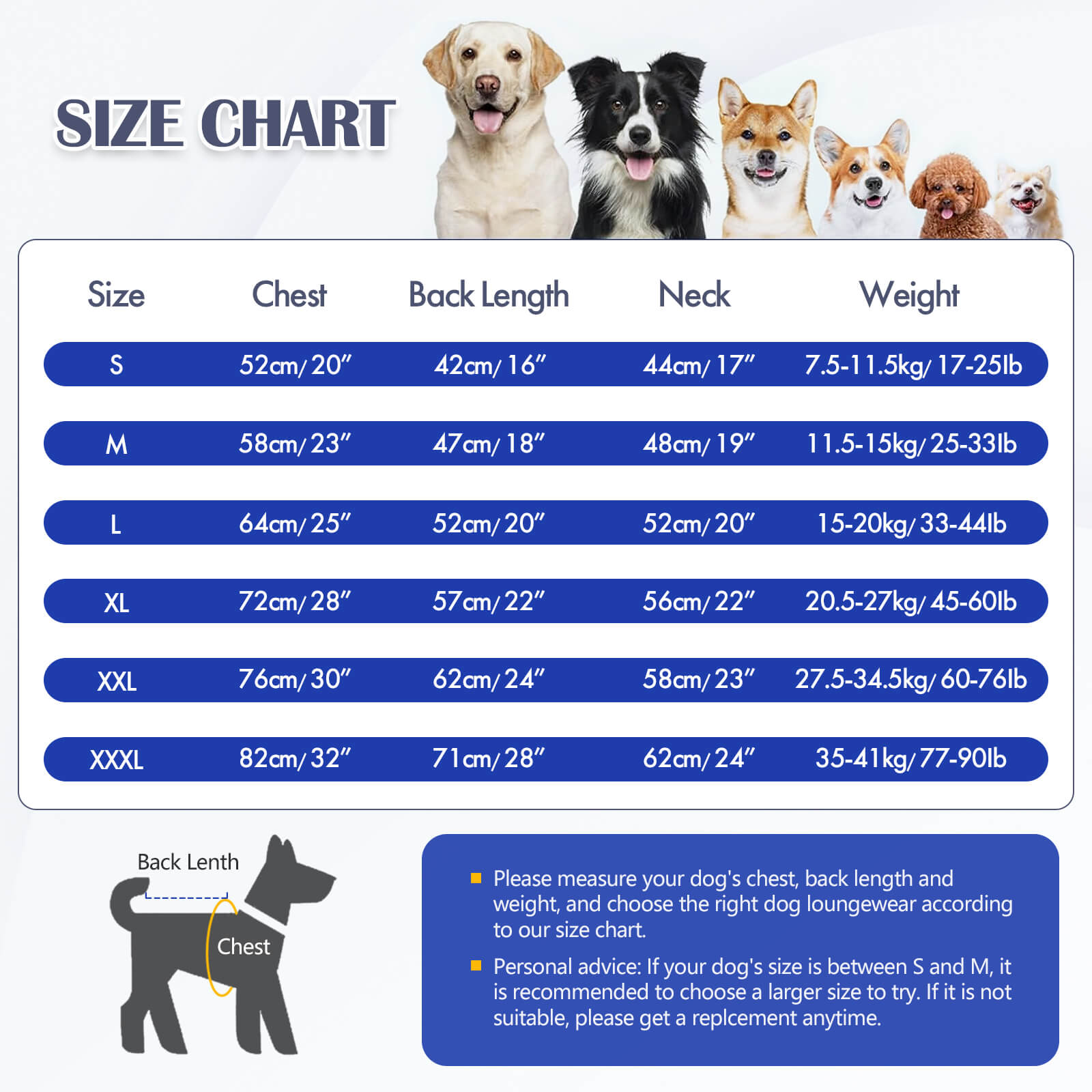Blue Dog Cotton Jacket For Winter Vd75 (7)