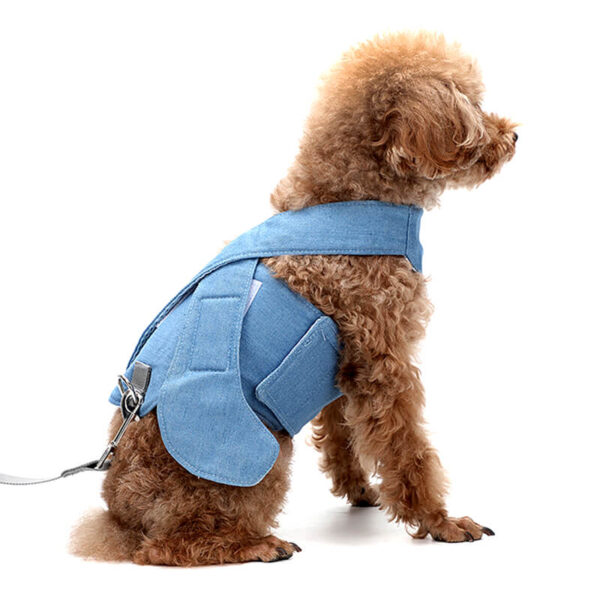 Blue Dog Safety Set Vd13