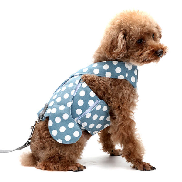 Blue Dot Dog Safety Set Vd13