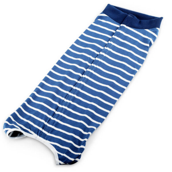 Blue Stripe Button Style Dog Recovery Suit Vd08