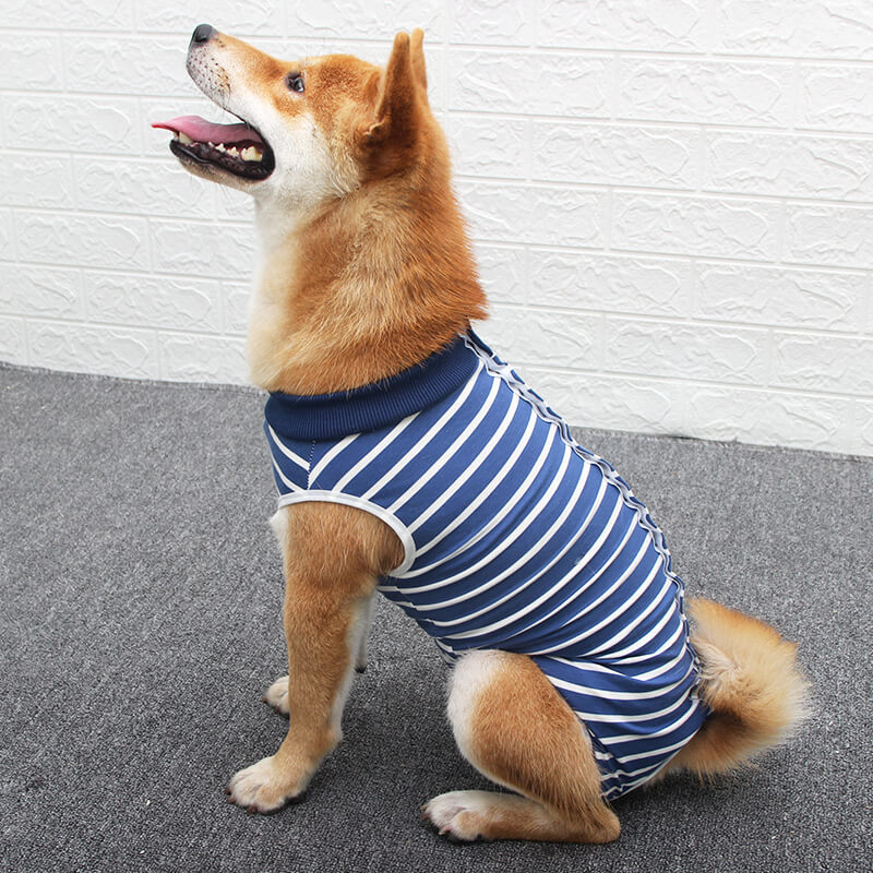 Button Style Dog Recovery Suit Vd08 Product Image (1)