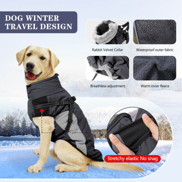 Dark Grey Dog Cotton Snow Jackets For Winter Vd75 (3)