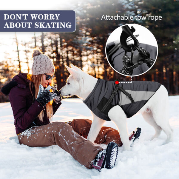 Dark Grey Dog Cotton Snow Jackets For Winter Vd75 (4)