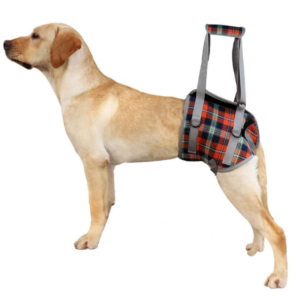 Dog Assisted Walking Harness For Back Leg Vd16 Details (6)