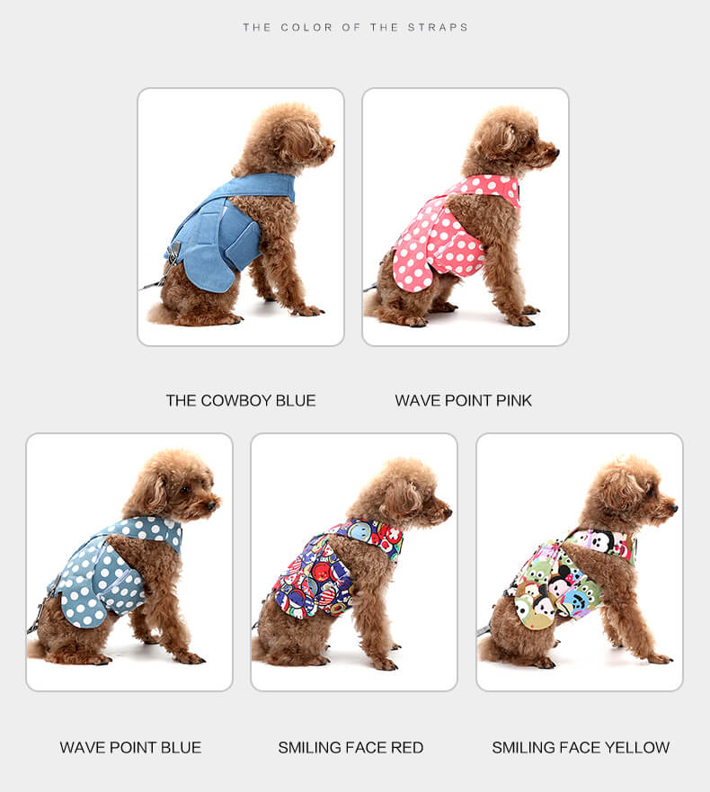 Dog Safety Set VD13 Wholesale Factory Supplies (3)