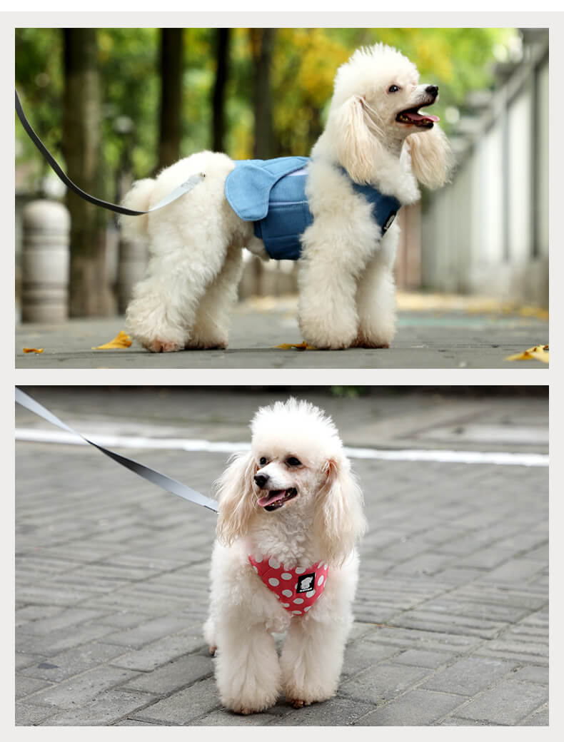 Dog Safety Set VD13 Wholesale Factory Supplies (4)