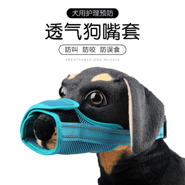 Dogs Muzzles Vd10 Product Image (1)