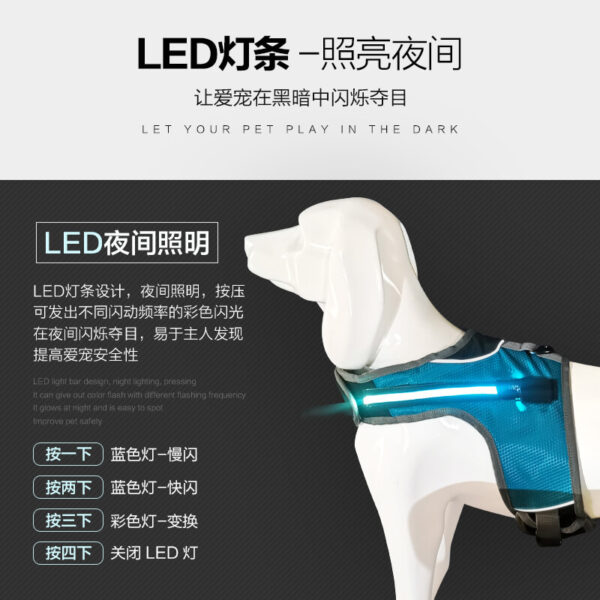 Led Dog Safety Set Vd14 Product Image (2)