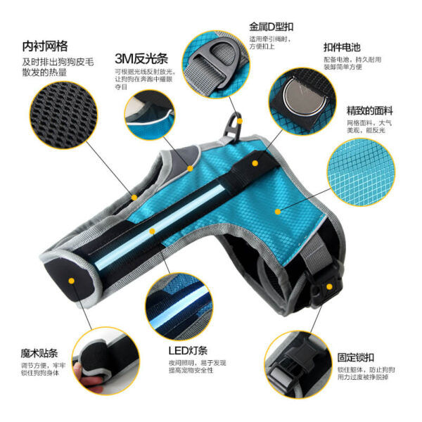 Led Dog Safety Set Vd14 Product Image (3)