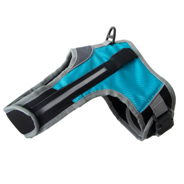 Led Dog Safety Set Vd14 Product Image (6)
