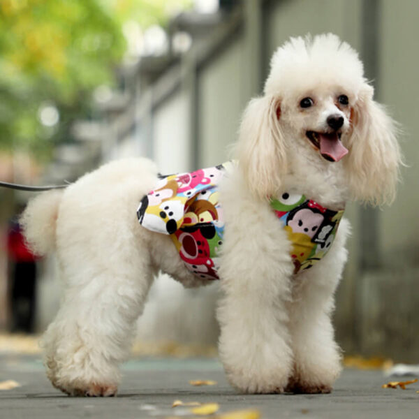 Dog Safety Set VD13 Wholesale Factory Supplies - Image 8