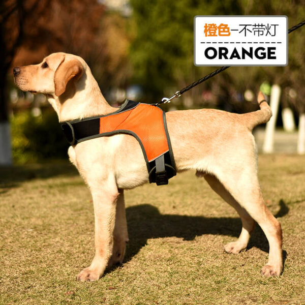Orange Led Dog Safety Set Vd14