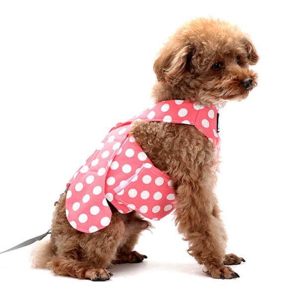 Pink Dot Dog Safety Set Vd13
