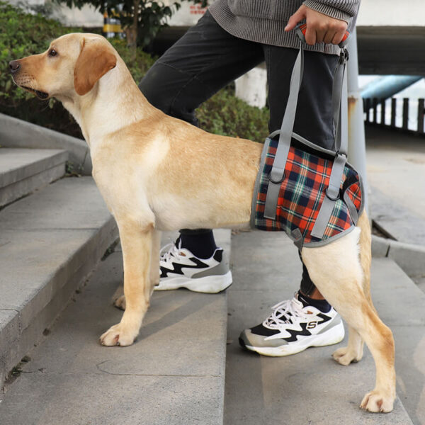Plaid Orange Dog Assisted Walking Harness For Back Leg Vd16