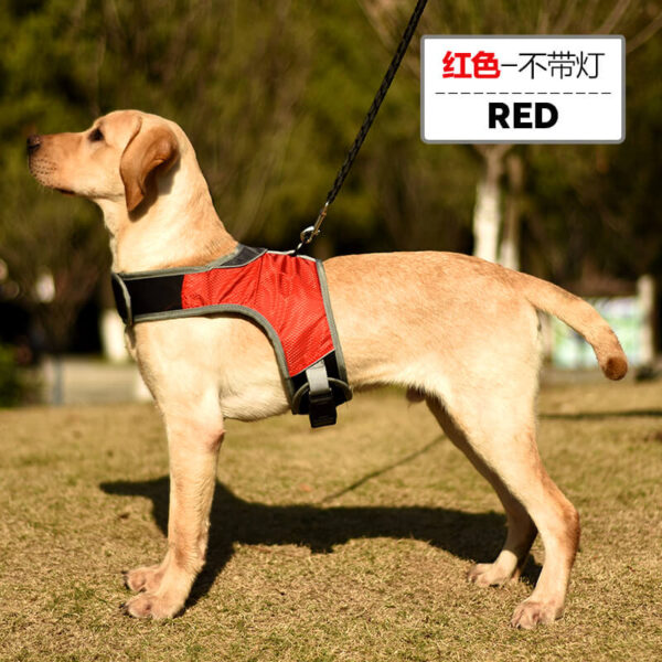 Red Led Dog Safety Set Vd14