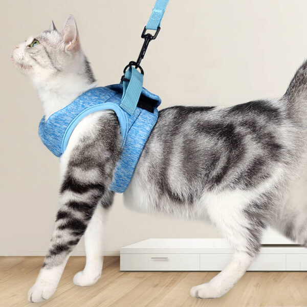 VC03 AIR PRO Cat Safety Set Harness Grey Blue (1)