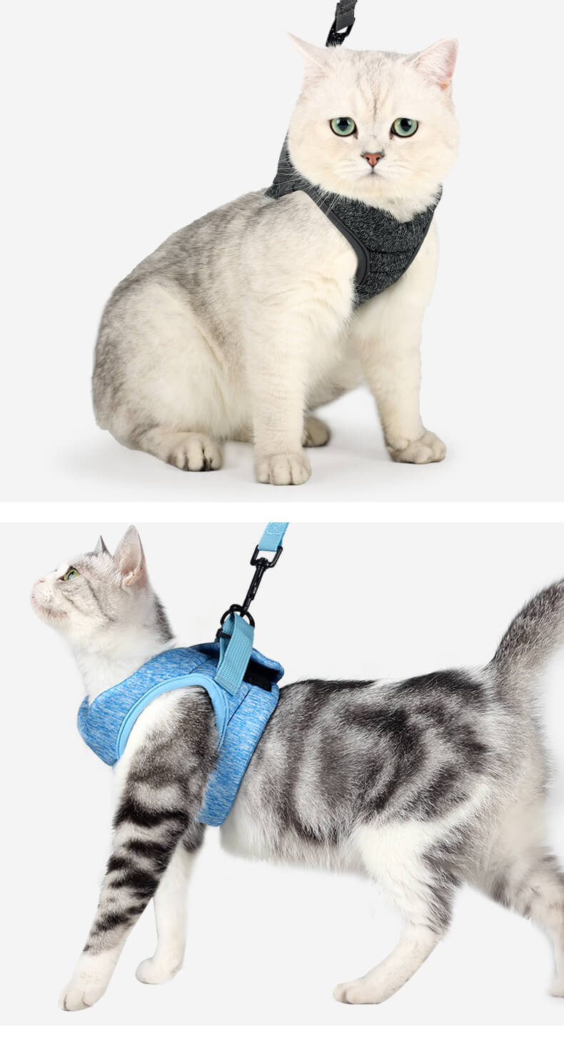 VC03 AIR PRO Cat Safety Set Harness Grey Blue (10)