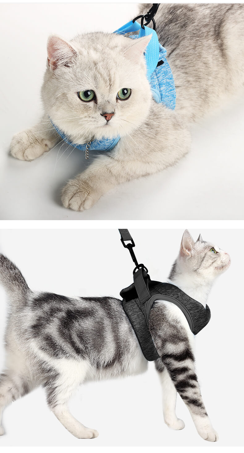 VC03 AIR PRO Cat Safety Set Harness Grey Blue (11)