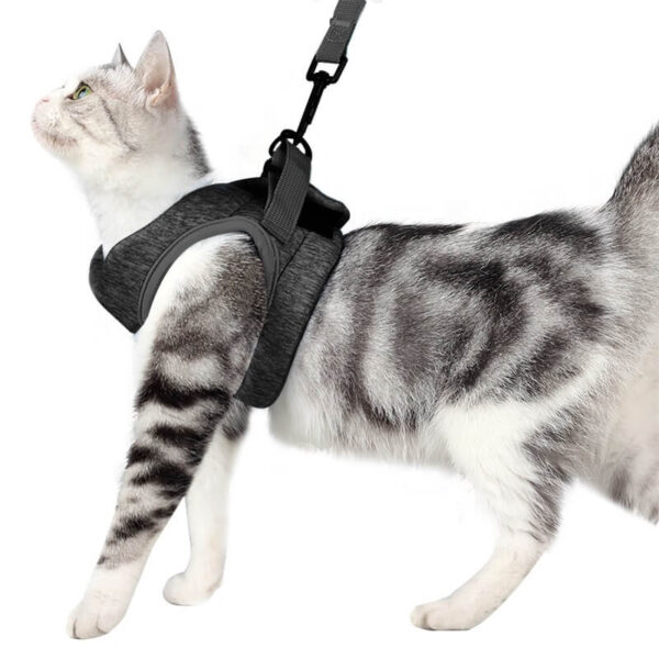 VC03 AIR PRO Cat Safety Set Harness Grey Blue (3)