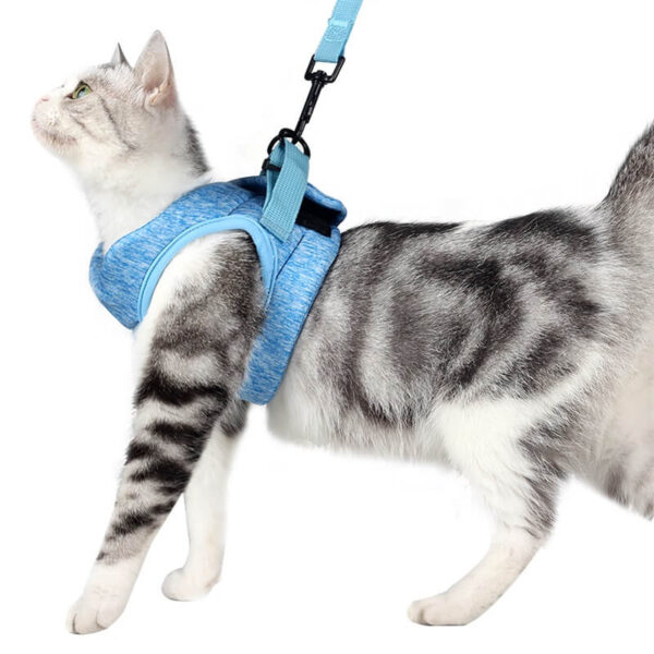 VC03 AIR PRO Cat Safety Set Harness Grey Blue (4)