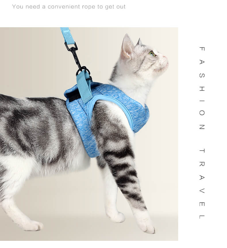 VC03 AIR PRO Cat Safety Set Harness Grey Blue (5)