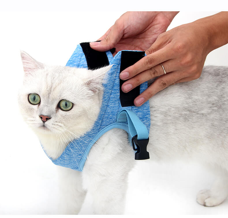 VC03 AIR PRO Cat Safety Set Harness Grey Blue (8)