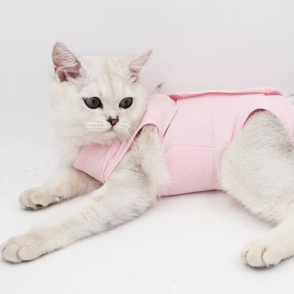 VC05 Cat Recovery Suit with Velcro Pink Blue Purple (1)