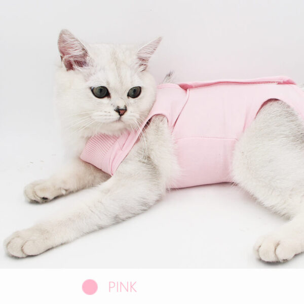 VC05 Cat Recovery Suit with Velcro Pink Blue Purple (2)