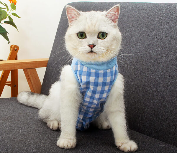 VC06 Cat Surgery Recovery Suit Plaid Pink Blue