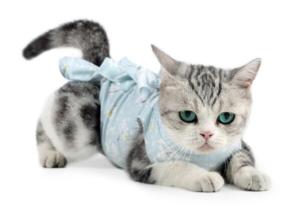 VC08 Recovery Suit for Cats Pink Blue with Ties (5)