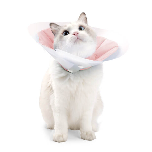 Vc38 Double Elizabethan Circle For Cats Blue Pink (1)