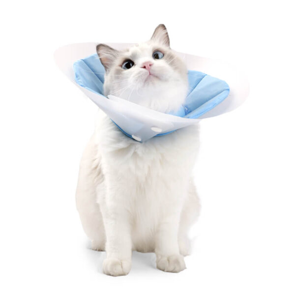 Vc38 Double Elizabethan Circle For Cats Blue Pink (2)