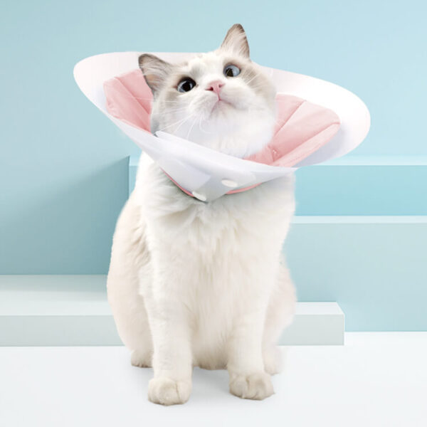 Vc38 Double Elizabethan Circle For Cats Blue Pink (3)