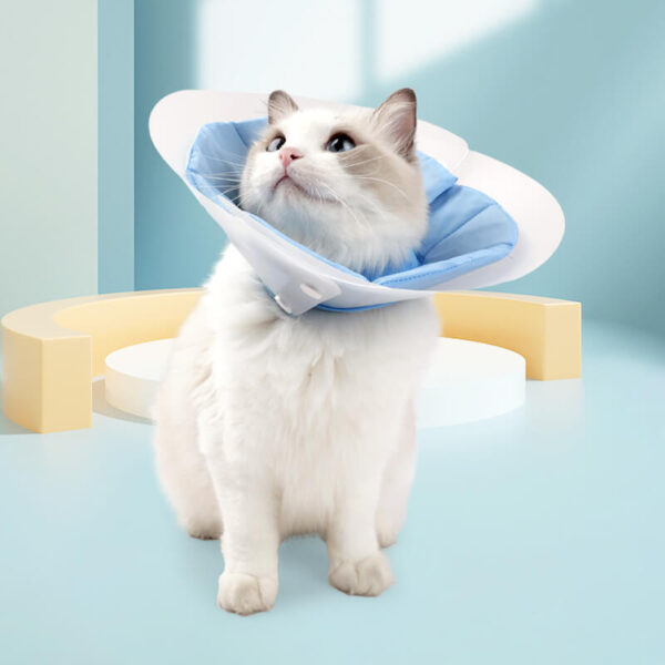 Vc38 Double Elizabethan Circle For Cats Blue Pink (4)