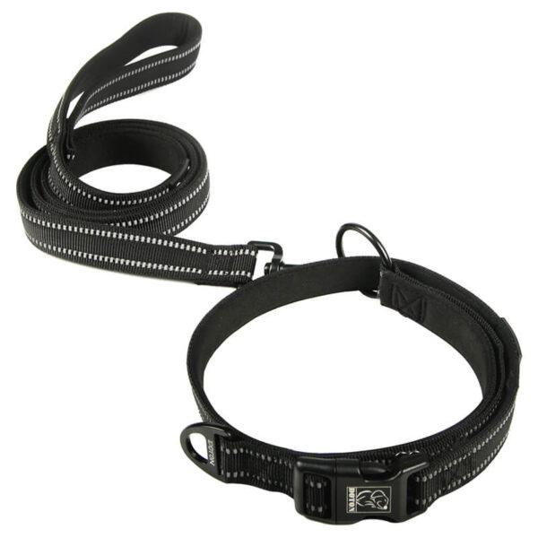 Vd07 Sg Nylon Dog Leashes Black Product Image (1)