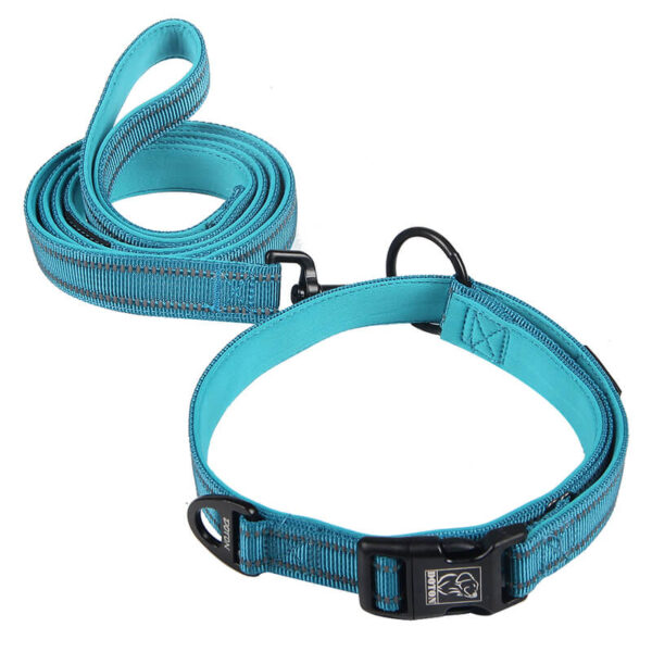 Vd07 Sg Nylon Dog Leashes Blue Product Image (1)
