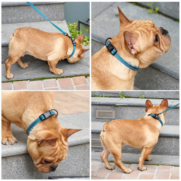 Vd07 Sg Nylon Dog Leashes Blue Product Image (5)