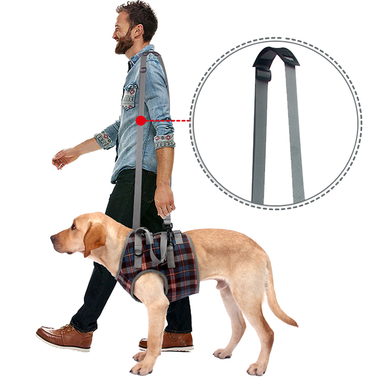 Vd16 Dog Assisted Walking Harness Shoulder Strap (1)