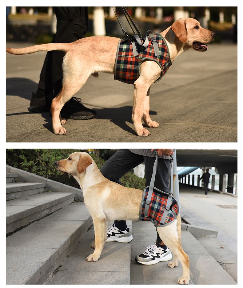 Vd16 Dog Assisted Walking Harness Shoulder Strap (2)