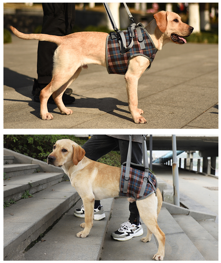 Vd16 Dog Assisted Walking Harness Shoulder Strap (3)