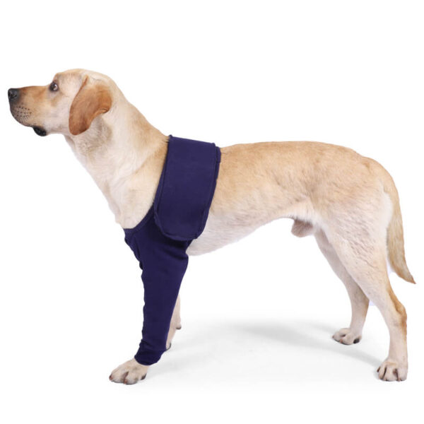VD24 Anti-licking Sleeves for Dogs on Front Legs (1)