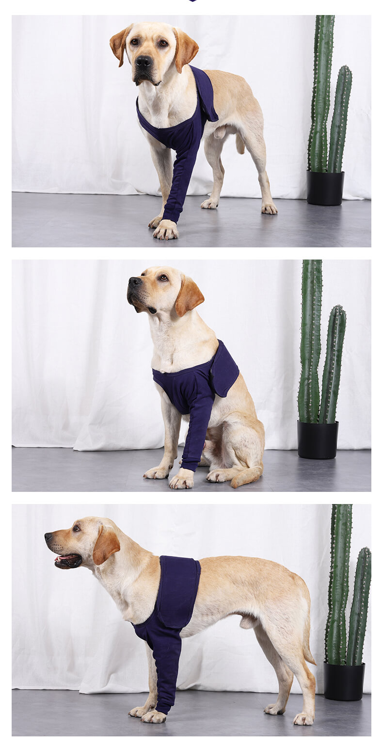 VD24 Anti-licking Sleeves for Dogs on Front Legs (5)