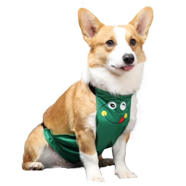 VD27 Small Dog Bellyband Puppy Green (1)