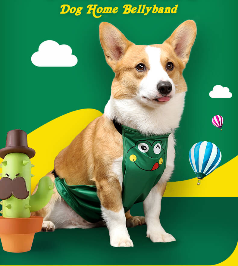 VD27 Small Dog Bellyband Puppy Green (6)