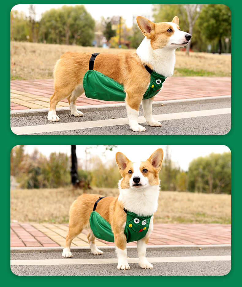 VD27 Small Dog Bellyband Puppy Green (9)